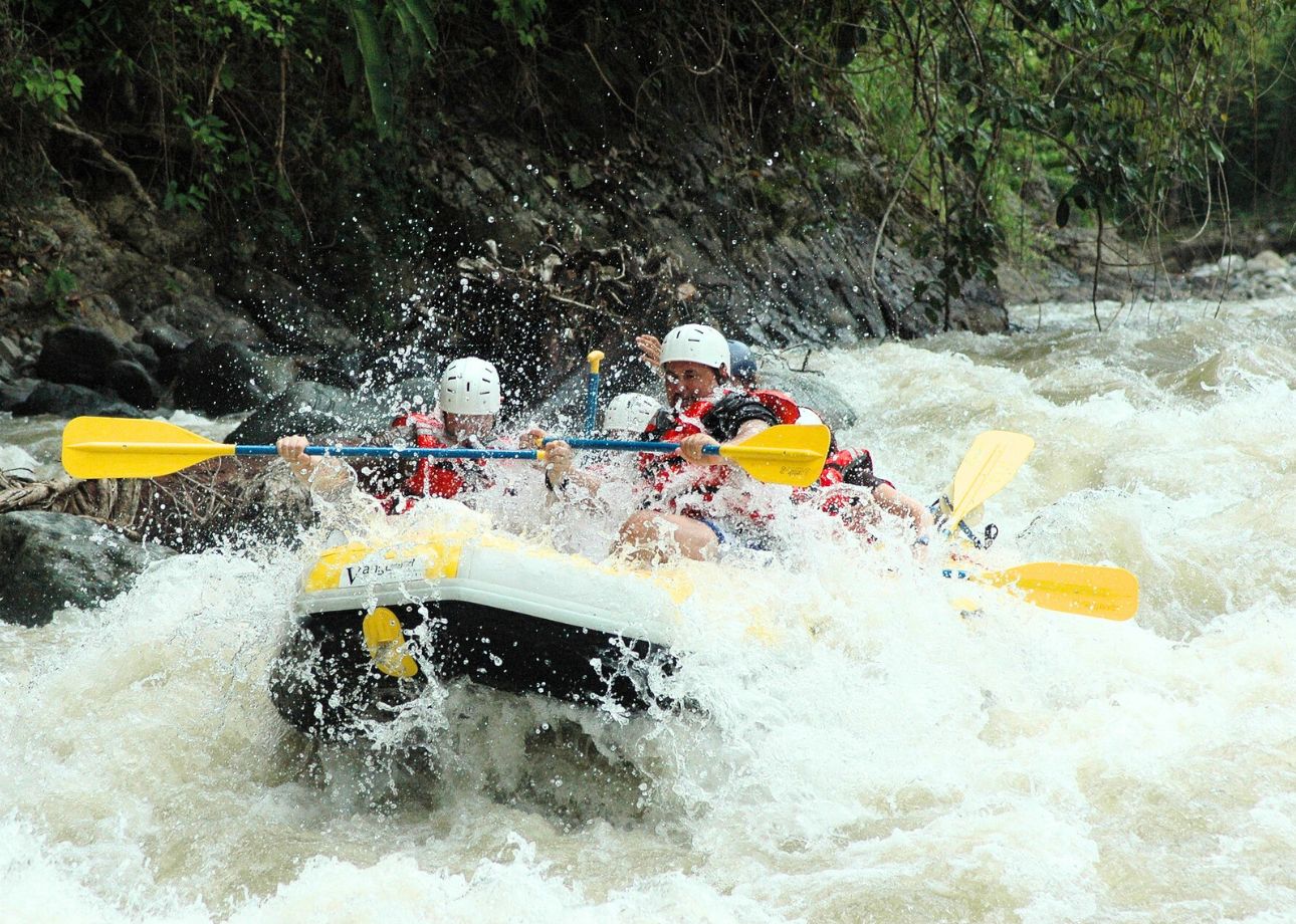 Sri Lanka: 6-tägige Wildlife Safari Private Tour