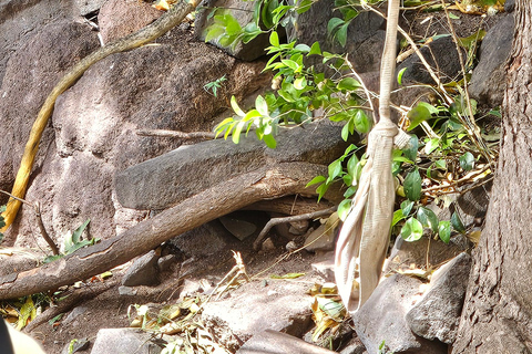 St. Kitts: Private Scenic Discovery Tour with Guide