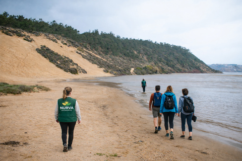 São Martinho do Porto: Shell Bay Guided Tour