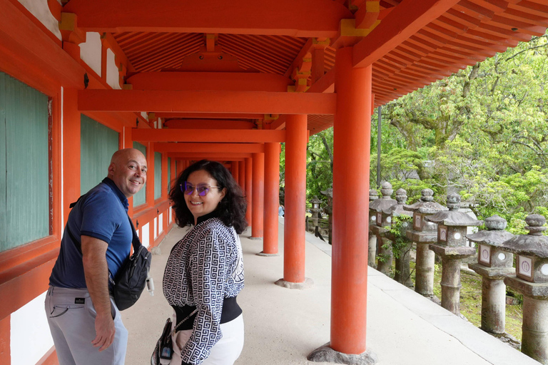 Shore excursion: A Private Kyoto Tour From Osaka/Kobe Port Private Tour for Maximum 8 Travelers in the Group