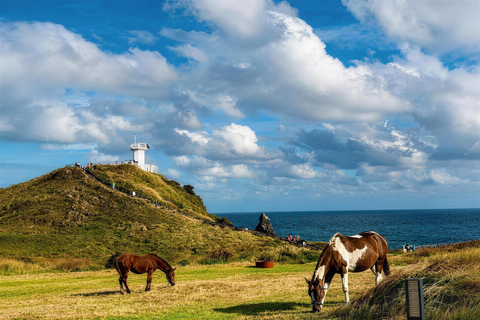 Jeju: Udo Island E-Bike Ride & Insta-Worthy Sea-View Cafe Ultimate Adventure Tour (e-Bike+Speedboat included)