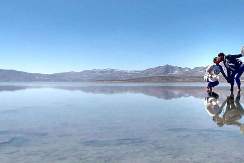 Arequipa: Salinas Reserve and Aguada Blanca-Lojen Volcano