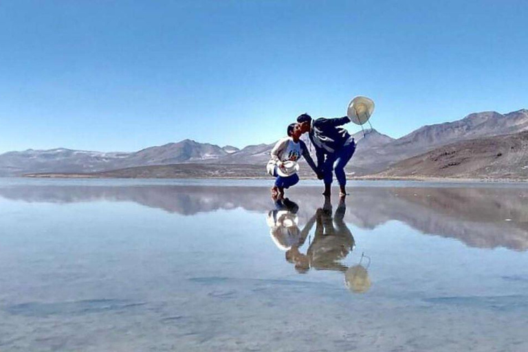 Arequipa: Salinas Reserve and Aguada Blanca-Lojen Volcano