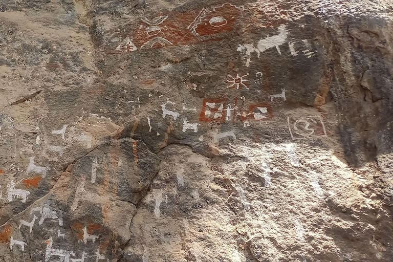Laguna Rocutuyoc and Honkopampa Ruins Private Service