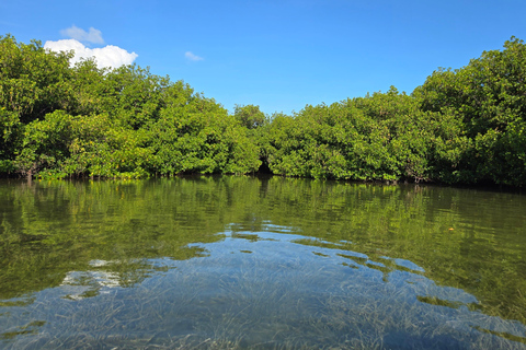 Key West: Private Guided Kayak Tour