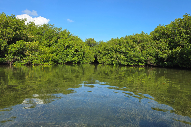 Key West: Private Guided Kayak Tour