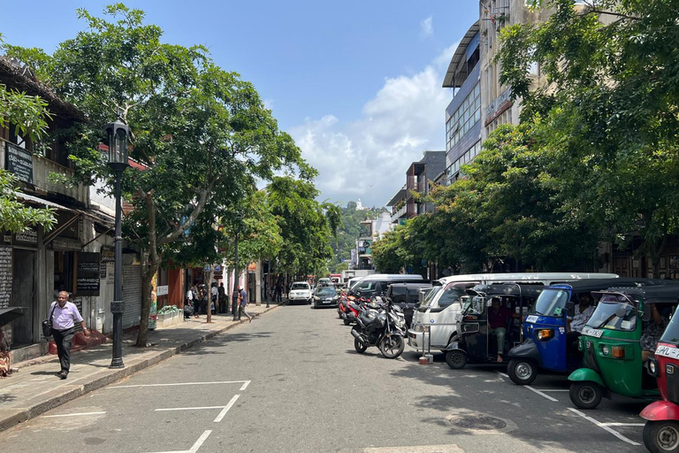 Colombo to Kandy Full-Day Private Tour Experience