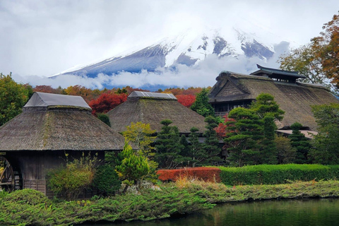 Mount Fuji & Hakone Full-Day Private Tour (Customizable) Hakone & Mount Fuji Tour w/English speaking guide