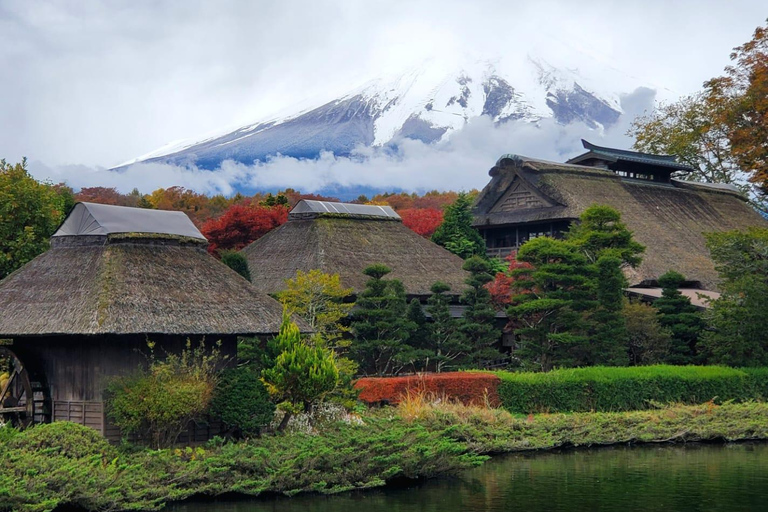 Mount Fuji & Hakone Full-Day Private Tour (Customizable) Hakone & Mount Fuji Tour w/English speaking guide