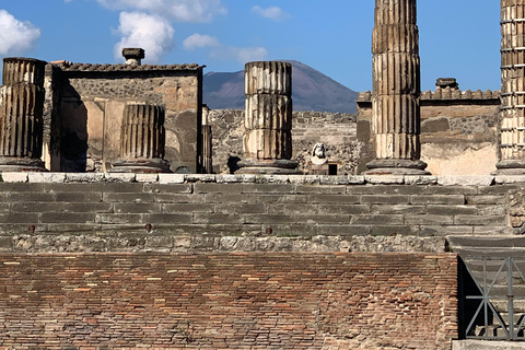 Naples: Pompeii & Herculaneum Shared Regular Group Tour