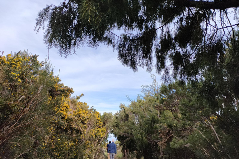 Funchal : randonnée au Pico Ruivo et à l&#039;Achada do Teixeira avec transfertFunchal : transfert pour randonnée au Pico Ruivo et à Achada do Teixeira