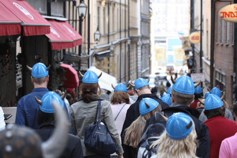 Stockholm 90-Minute Private Viking Walking Tour