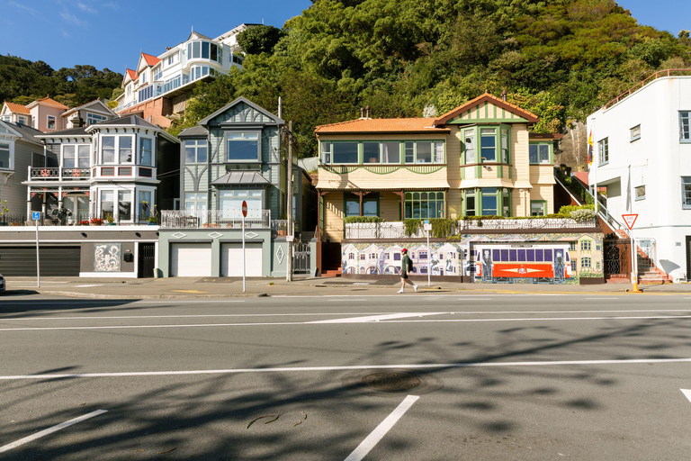 Wellington: Tour dei punti salienti con una guida locale