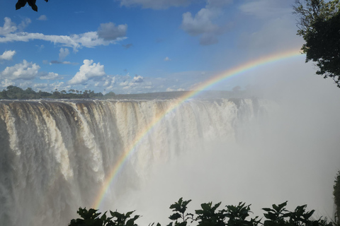 Victoria Falls: 4-Day Victoria Falls with Chobe Safari tour