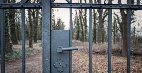 Prague: Psychiatric Hospital and Abandoned Cemetery Tour