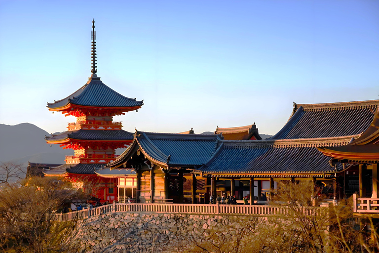 Osaka/Kyoto: Passeio em pequenos grupos pelo Património Mundial da UNESCO de Quioto e NaraPartida de Quioto