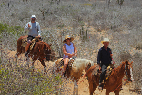 Cabo San Lucas: Reiten in Migriño mit Transfers