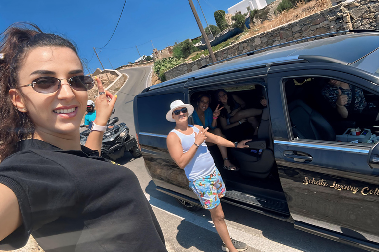 Visite de 4 heures à Mykonos en espagnol4 heures de visite de Mykonos en anglais