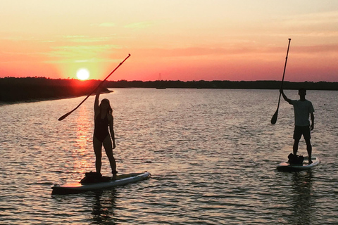 Charleston: Folly Beach Stand Up Paddleboard Dolphin Safari Morning Stand Up Paddleboard Dolphin Safari