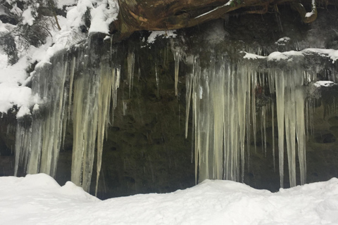 Rochas de Adršpach - excursão de dia inteiro com transporte e comida local
