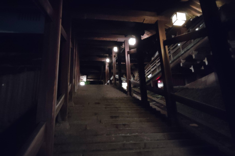 Nara: descubre la belleza atemporal en un tranquilo paseo nocturno.Nara: descubre la belleza atemporal en un tranquilo paseo nocturno