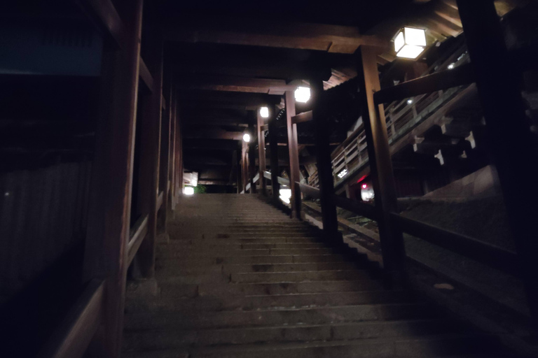 Nara: descubre la belleza atemporal en un tranquilo paseo nocturno.Nara: descubre la belleza atemporal en un tranquilo paseo nocturno