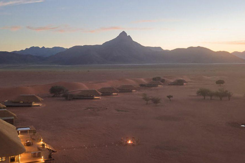 From Windhoek: 6-Day Namibia Safari with Lodging & Meals