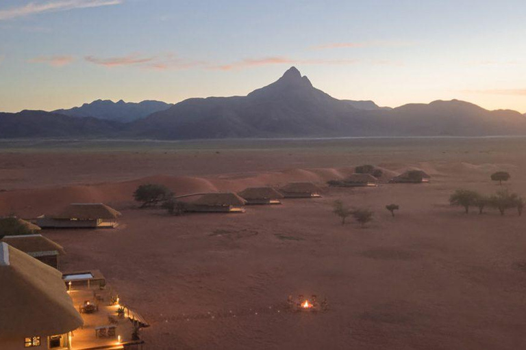 From Windhoek: 6-Day Namibia Safari with Lodging & Meals