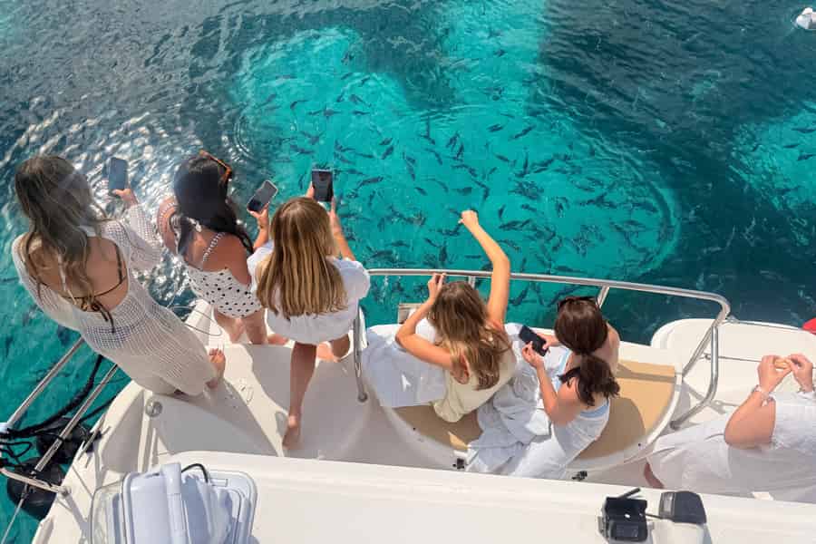 Magische Kreuzfahrt an der unglaublichen französischen Riviera!. Foto: GetYourGuide Magische Kreuzfahrt an der unglaublichen französischen Riviera!. Foto: GetYourGuide