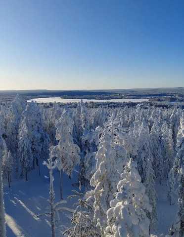 Ounasvaara Winter Hike Adventure