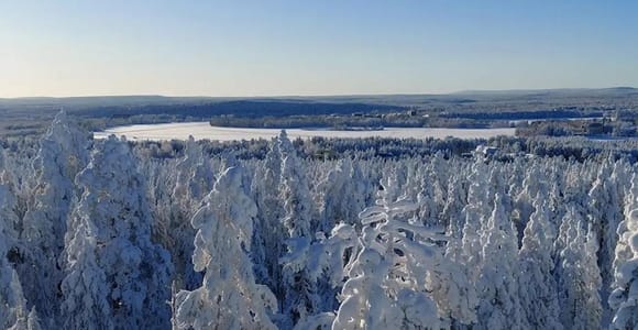 Ounasvaara Winter Hike Adventure