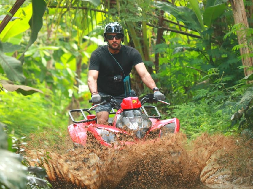 Atv Quad Ride ATV Quad Ride - Ubud Monkey Forest - Waterfall and Lunch | GetYourGuide