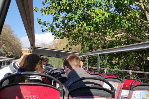 Drach Caves and Palma or Beach Retreat – Full-Day Tour