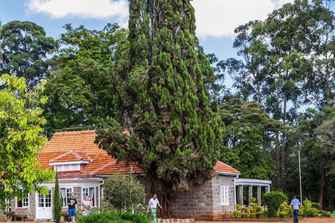 Nairobi: Guided Giraffes Centre & Karen Blixen Museum Tour. Nairobi: Karen Blixen Museum Guided Tour .