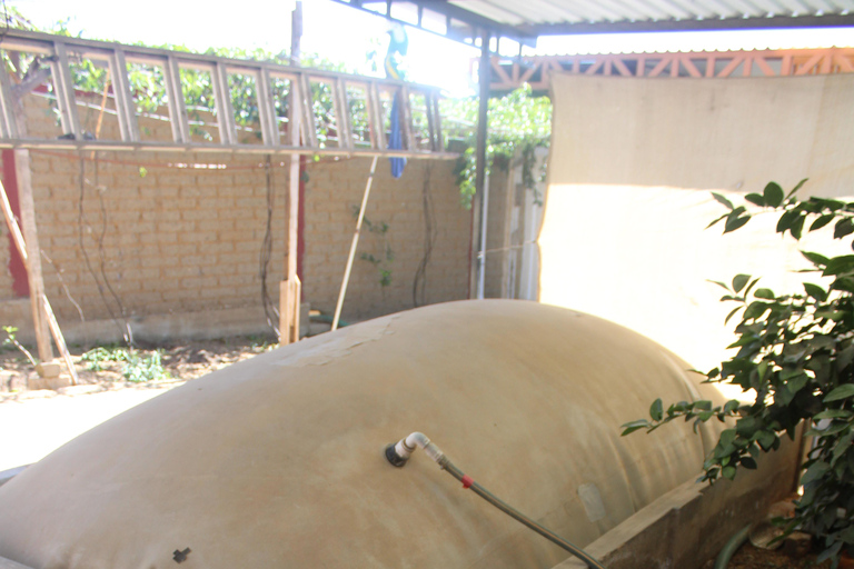 Oaxaca: Sustainable Mezcal Tour at an Award-Winning Family Distillery