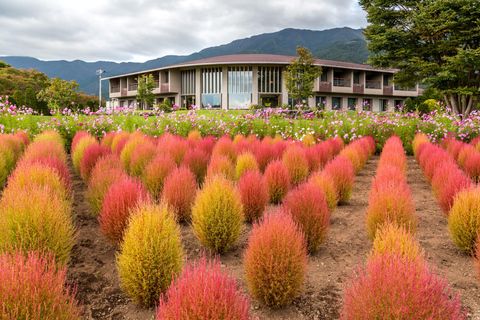 Tokyo: Mount Fuji Day Tour, Oshino Hakkai, Lake Kawaguchi Lunch Excluded | 8:30 AM from Shinjuku Station