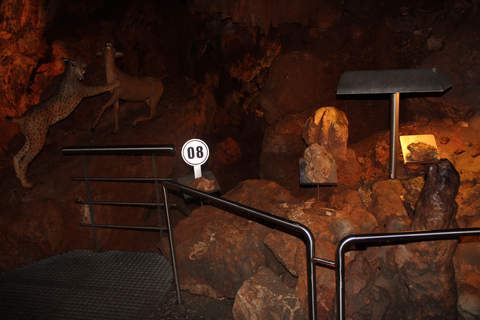 Lissabon: Dinosaurier-Fußabdrücke, Höhlen und Óbidos-TourTour für kleine Gruppen: Dinosaurierfußabdrücke, Höhlen und Óbidos