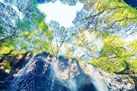 Fukuoka: Takachiho Gorge & Scenic Railway One Day Tour Limited-Time One-Day Tour (Excluding Admission Fees)