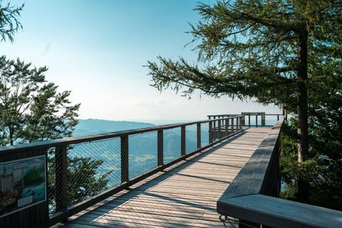 From Vienna: Hallstatt and Treetop Path Private Day Trip