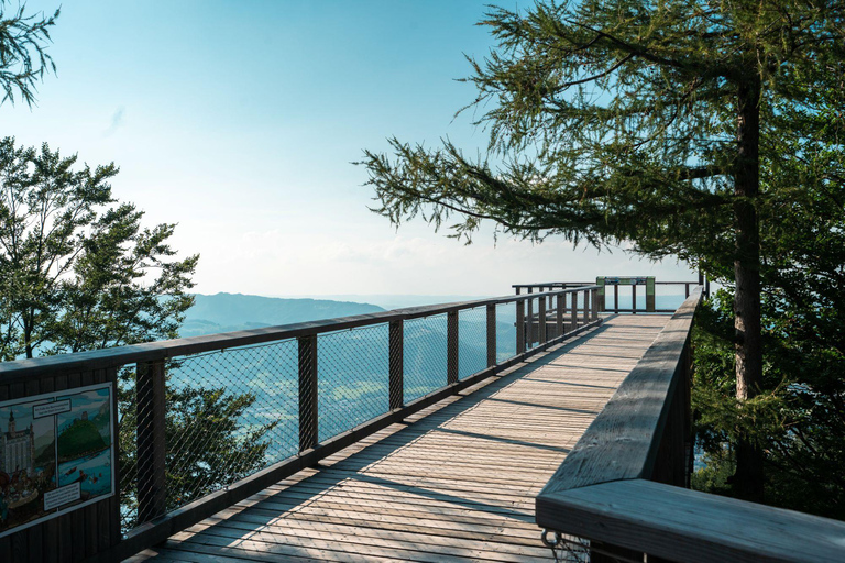 From Vienna: Hallstatt and Treetop Path Private Day Trip