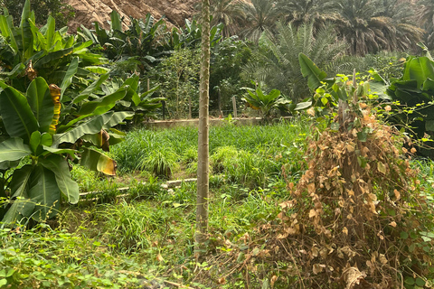 Muscat: Wadi Shab Hike and Bimmah Sinkhole Tour with Lunch Muscat: Wadi Shab Hike and Bimmah Sinkhole Tour with Lunch