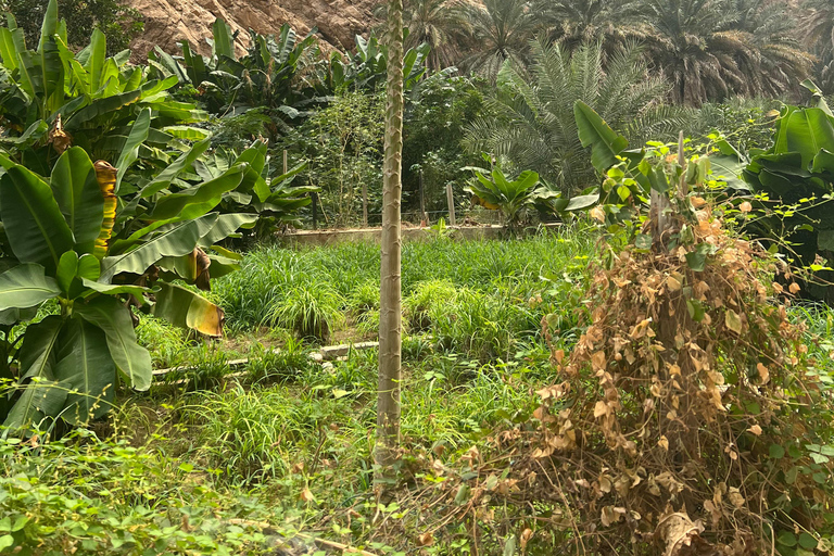 Muscat: Wadi Shab Hike and Bimmah Sinkhole Tour with Lunch Muscat: Wadi Shab Hike and Bimmah Sinkhole Tour with Lunch