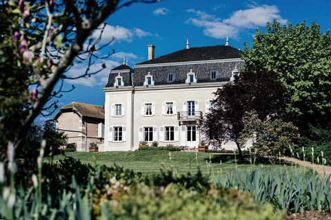 Bezoek : Van Château des Thorins naar Château du Moulin-à-Vent