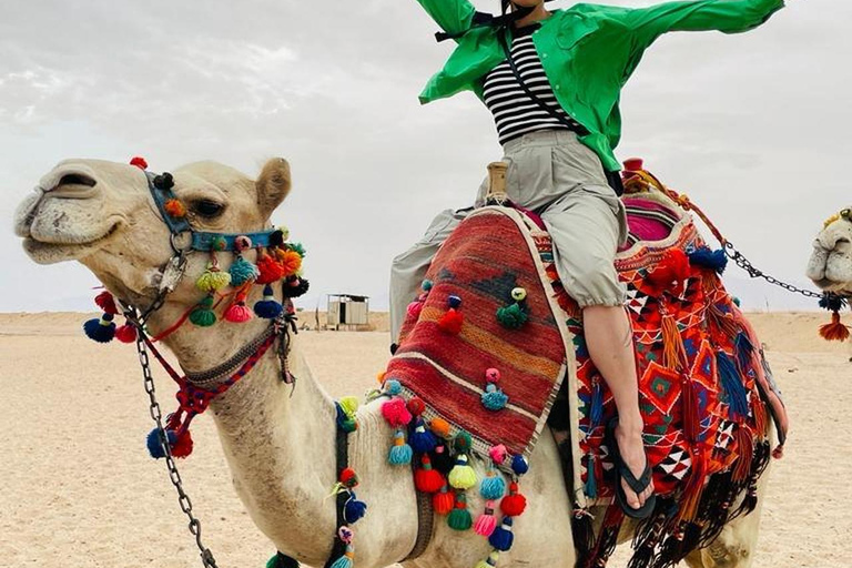 Hurghada: Camel Ride Vibes -The Ultimate Desert Experience 1-Hour Desert & Beach Camel Ride with Transfers