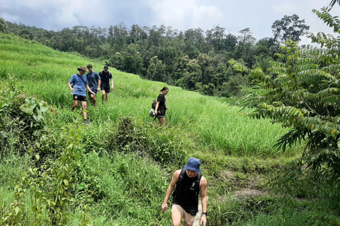 Chiang Mai: Elephant Sanctuary &amp; Jungle Trek w/ WaterfallSanctuary,Trekking,waterfall and bamboo rafting