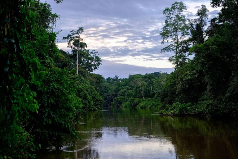 River Day Tour - Manaus + Digital Visitor Kit