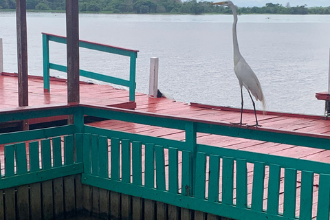 Manaus: Meeting of the Waters Private Bootstour