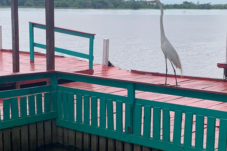 Manaus: Meeting of the Waters Private Bootstour