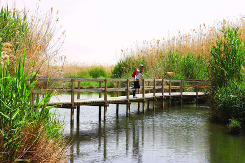 Amman: Azraq Wetland+ Lawrence Fortress + Druze Family Lunch