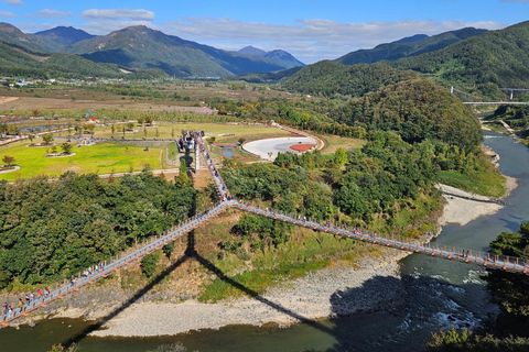 DMZ 2nd tunnel & Y Shaped Suspension Bridge Tour from Seoul